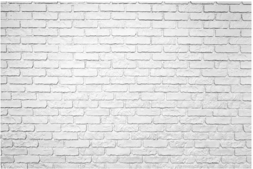 Fond photo représentant  un mur de briques blanches.