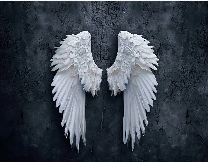 Fond photo représentant des ailes blanches sur une mur de platre noir.