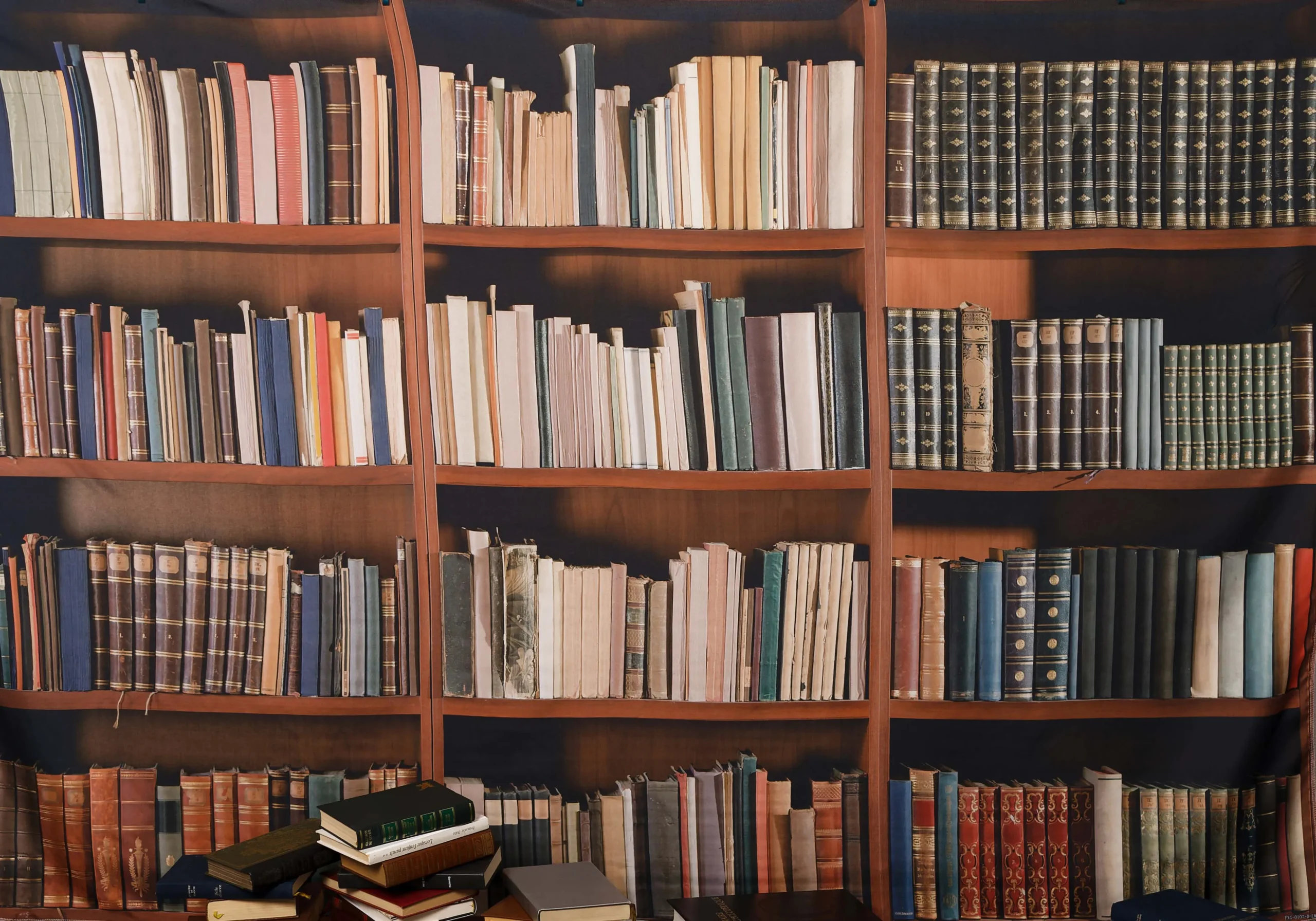 fond photo représentant une bibliothèque remplie de livres.