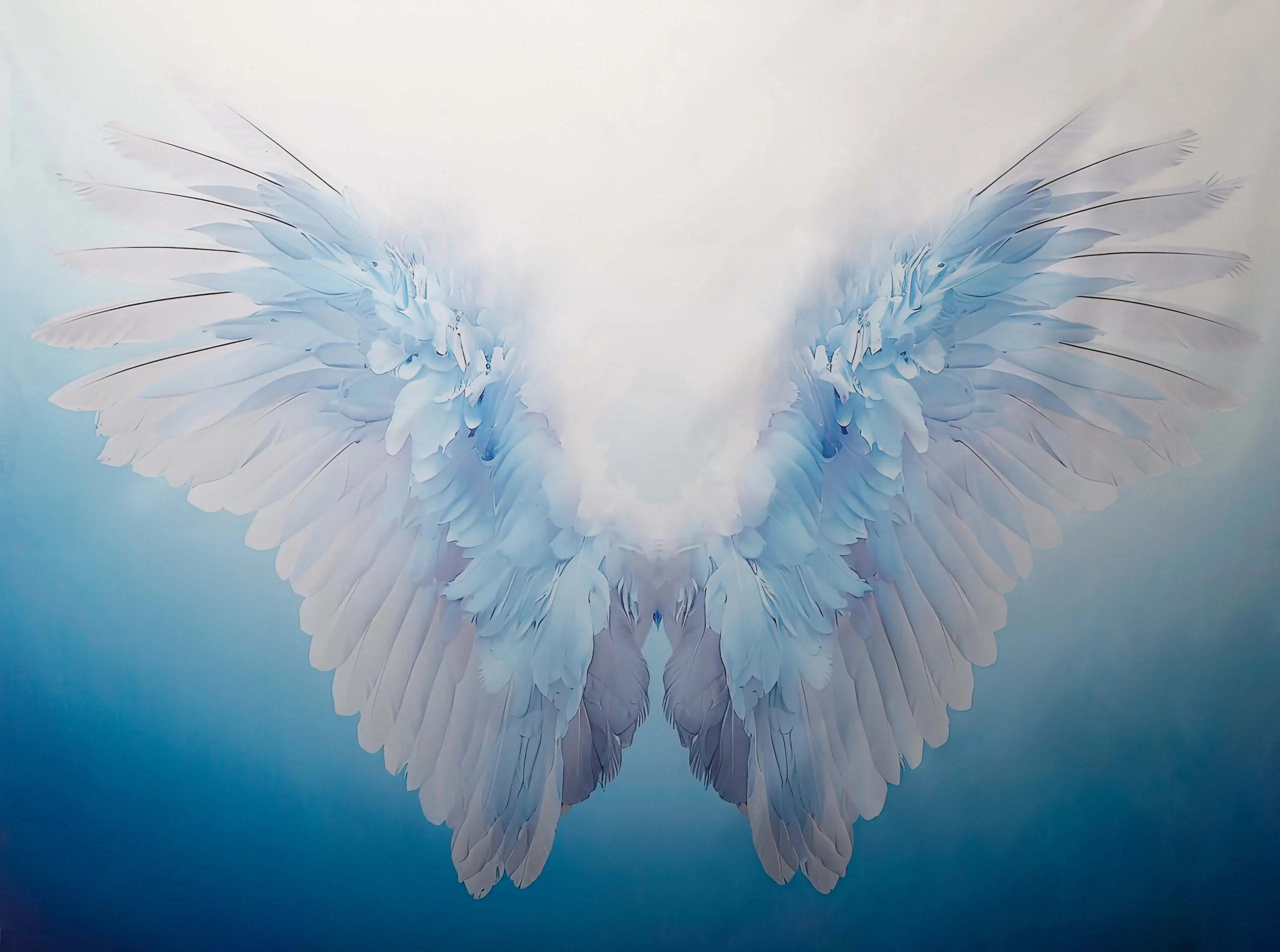 fond photo représentant des ailes d'ange de couleur bleu et blanc.