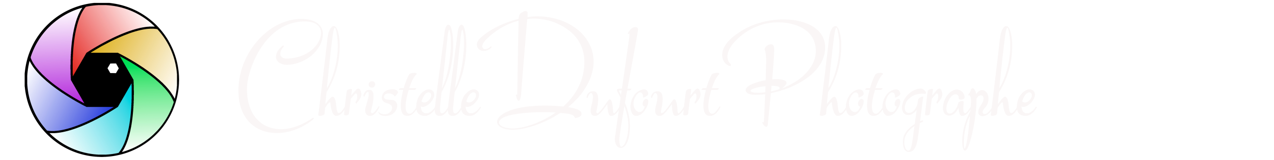 Bande avec logo et nom avec un fond transparent.