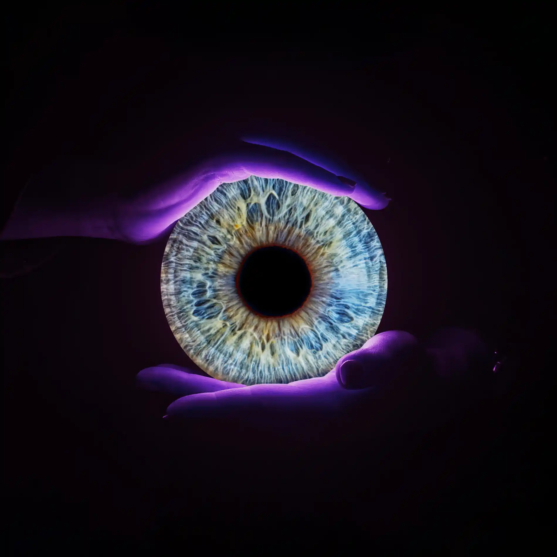Gros plan artistique d'un iris aux couleurs bleues et vertes, tenu dans deux mains dans le noir. Les mains sont mises en lumière par une lueur violette.