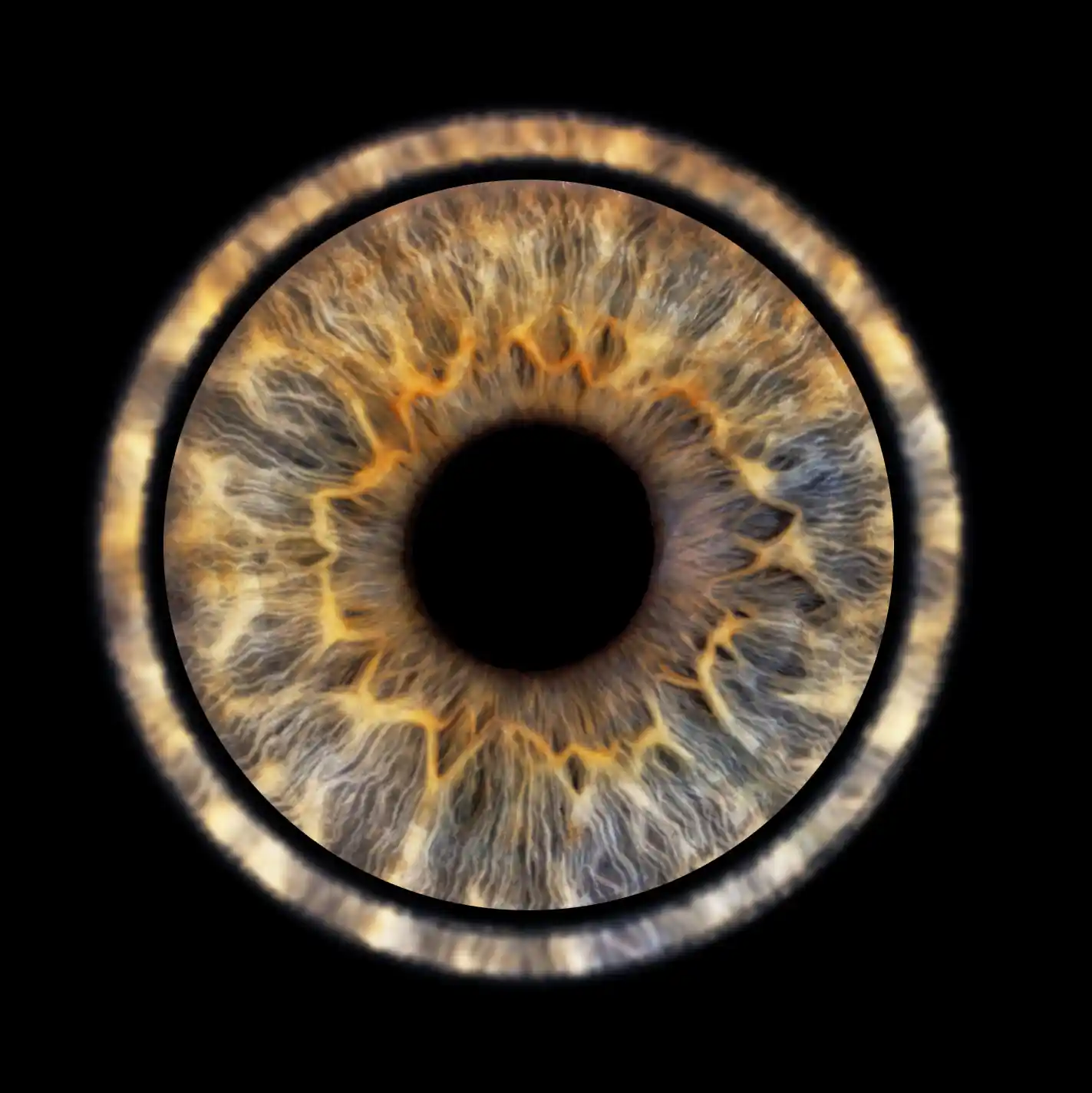 Gros plan détaillé d'un iris humain de couleur marron-bleu, avec des cercles concentriques et des motifs naturels complexes. L'image est encadrée par un anneau plus clair, mettant en évidence la texture et la couleur de l'œil.
