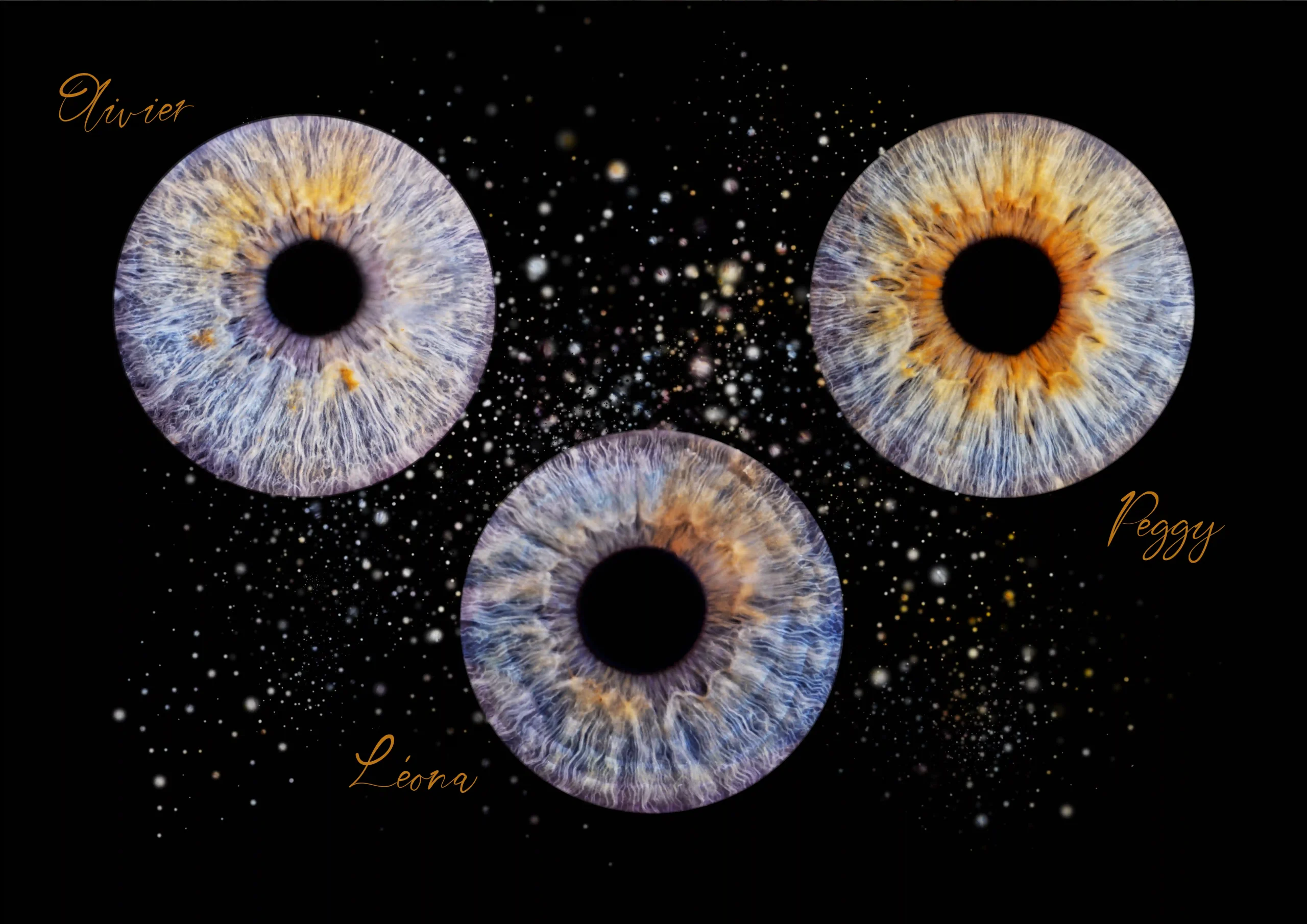 Montage photographique des iris de trois membres d'une famille sur un fond noir avec des paillettes blanches. Les deux iris du haut sont de couleurs différentes, l'un bleu et l'autre jaune-orangé. L'iris du bas est un mélange des deux. Les noms de famille sont inscrits sur la photo.