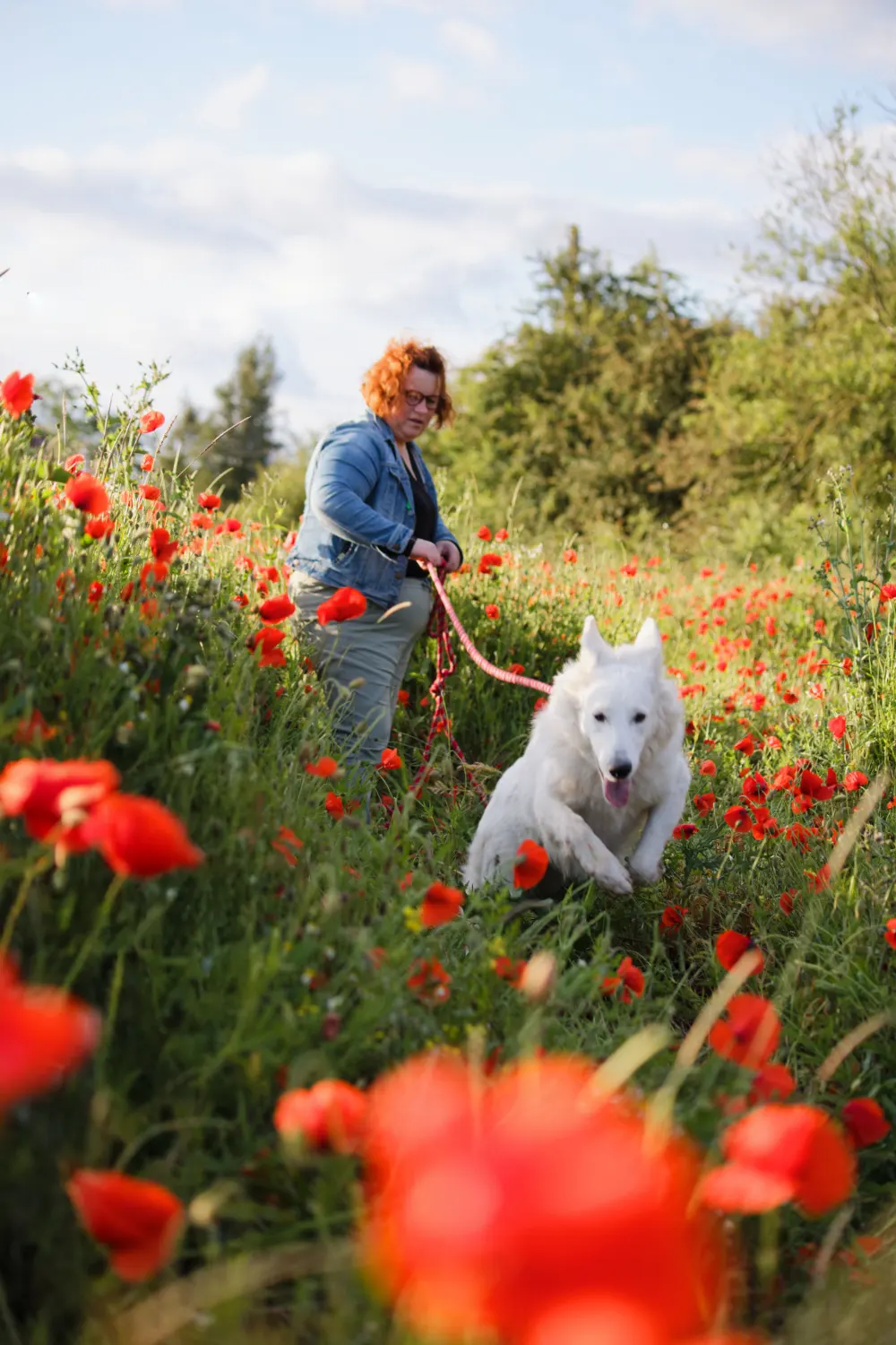 Une femme tient son chien blanc en laisse dans un champ de coquelicots. Le chien court vers l'avant, la gueule ouverte, tandis que sa maîtresse le regarde avec tendresse.
