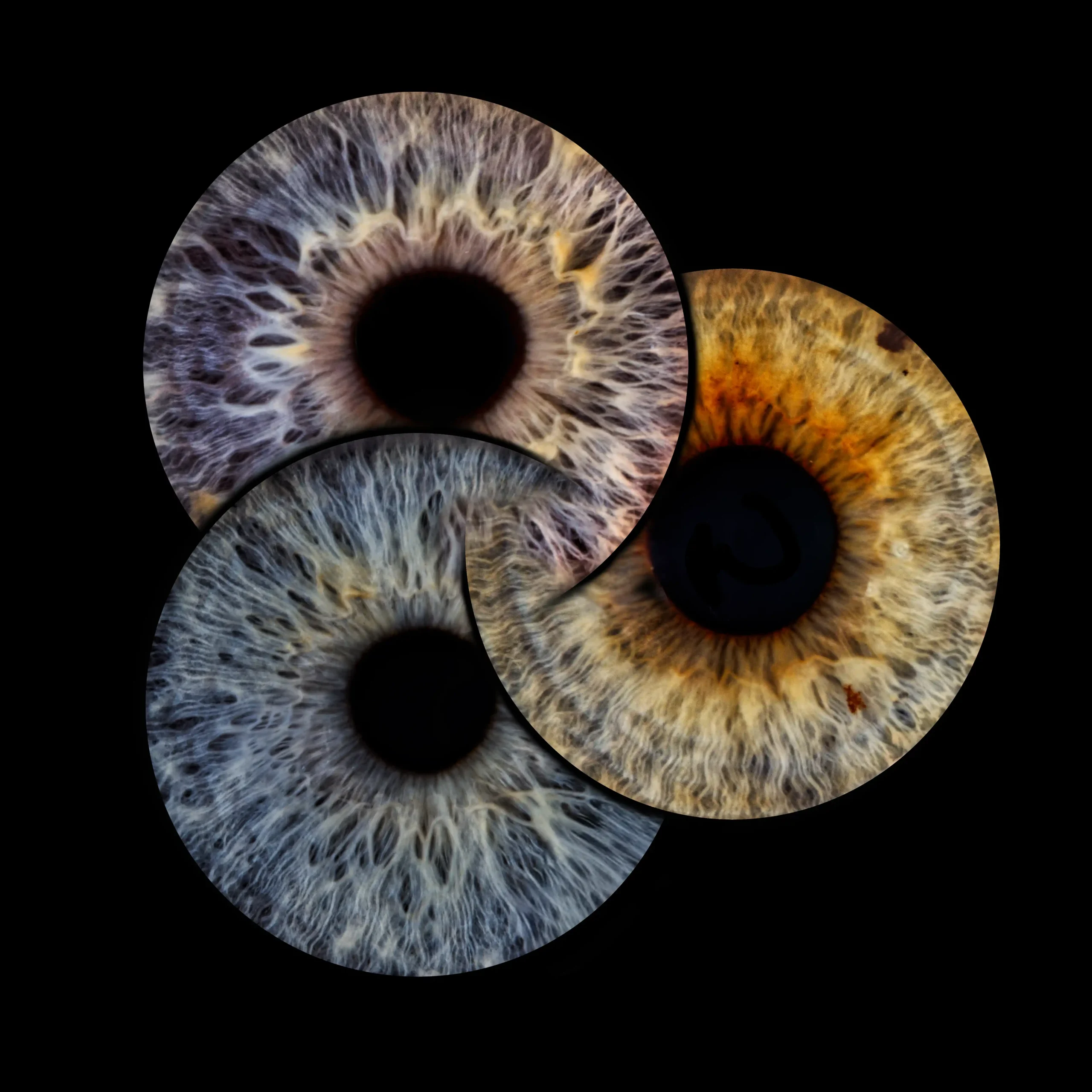 Photomontage d'iris d'une famille de 3 personnes. Photos studio à Sainte catherine, à coté d'Arras.